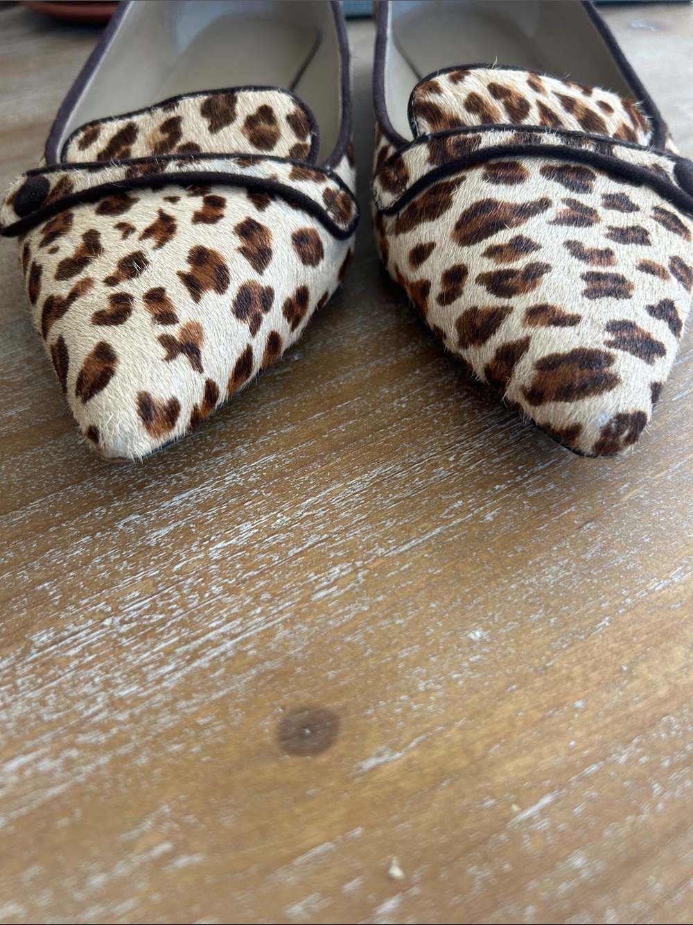 Ann Taylor Leopard-Print Pointed-Toe Flats — Brown/Cream - Picture 2 of 6